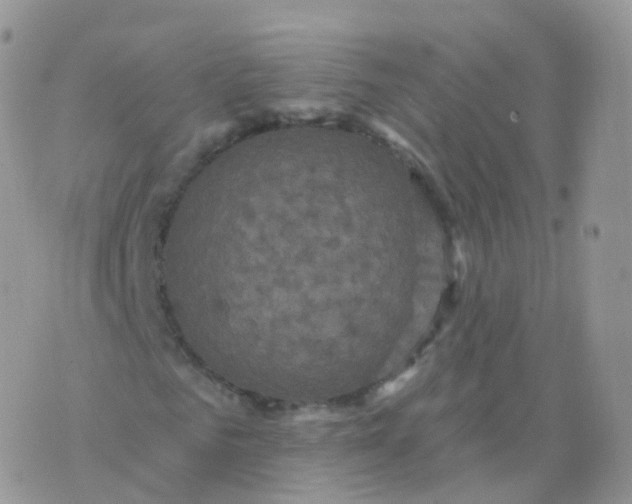 X0000070400961200606302007