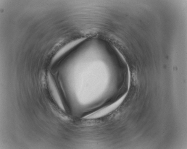 X0000070400963200606302007