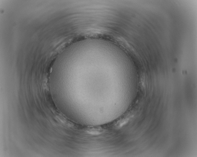 X0000070400964200606302007