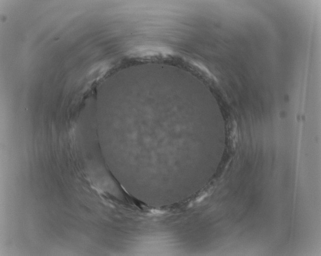 X0000070400965200606302007