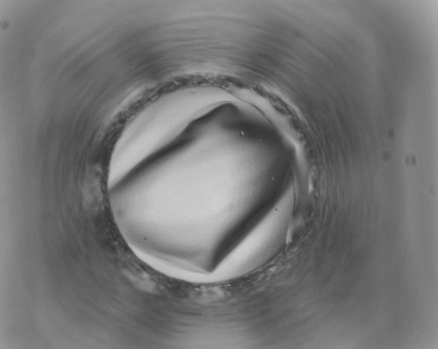 X0000070400968200606302007