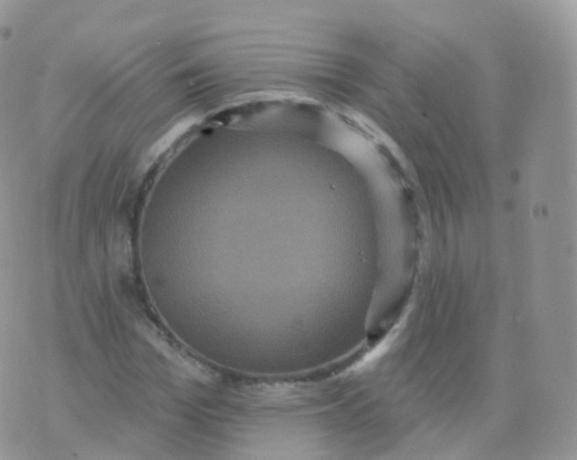 X0000070400969200606302007