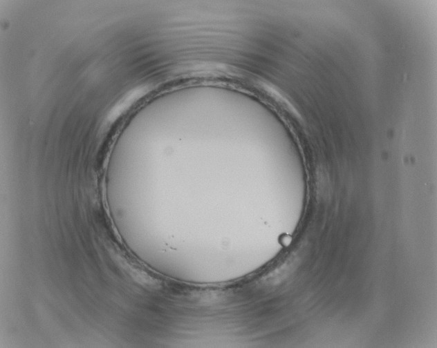 X0000070400970200606302007