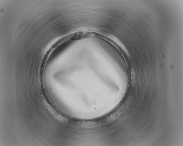 X0000070400972200606302007