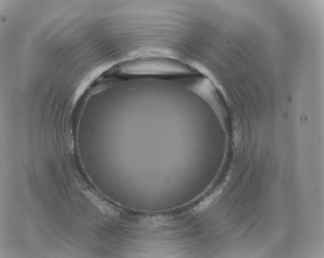 X0000070400973200606302007