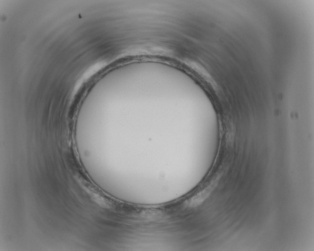 X0000070400974200606302007