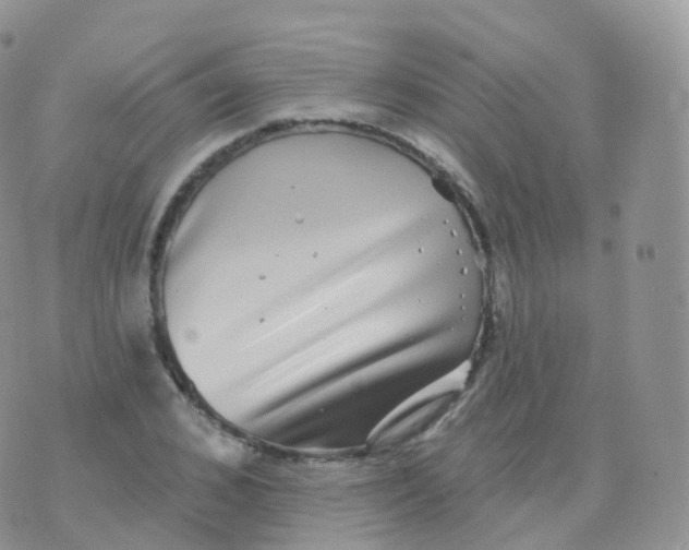 X0000070400976200606302007