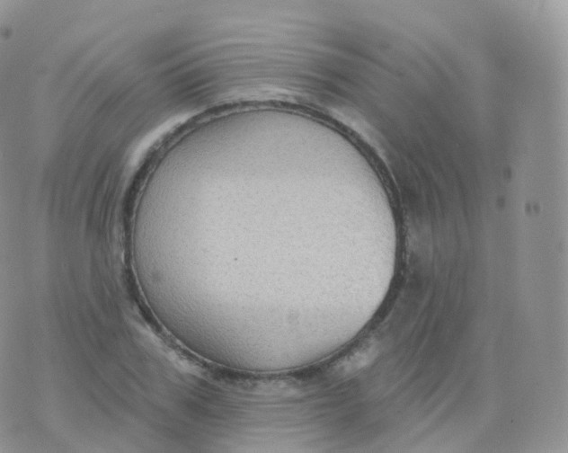 X0000070400979200606302007