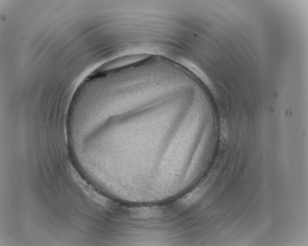 X0000070400980200606302007