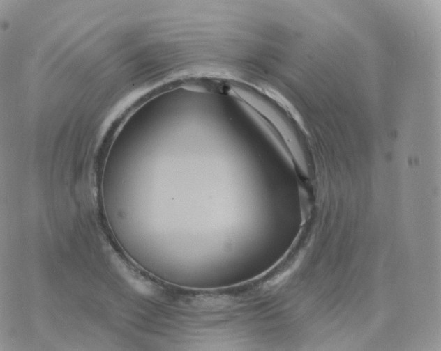 X0000070400981200606302007