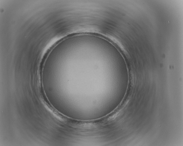 X0000070400982200606302007