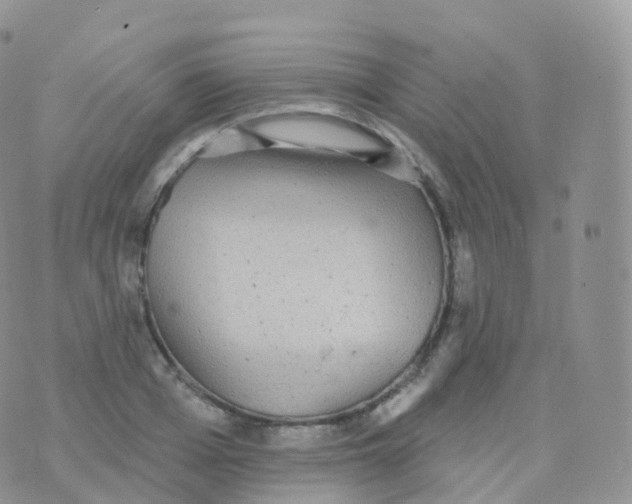 X0000070400985200606302007