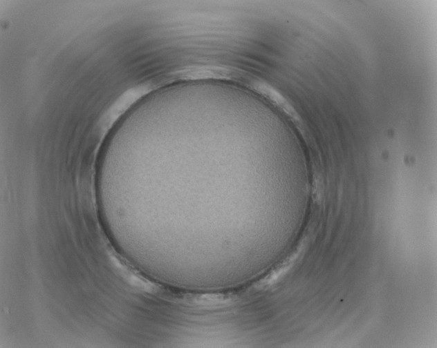 X0000070400986200606302007