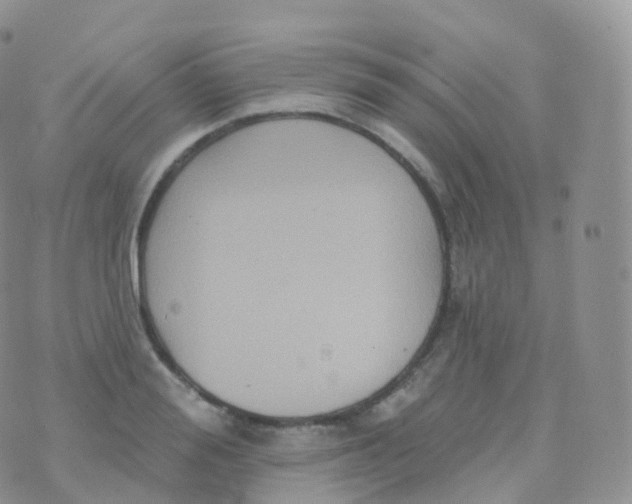 X0000070400988200606302007