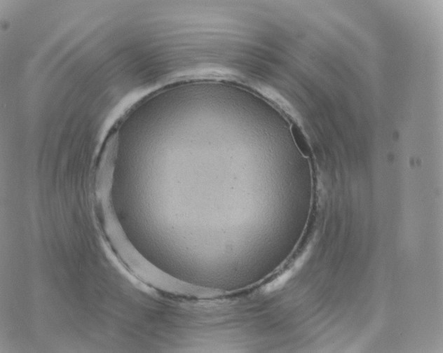 X0000070400989200606302007