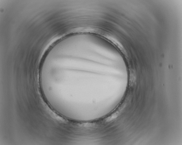 X0000070400992200606302007