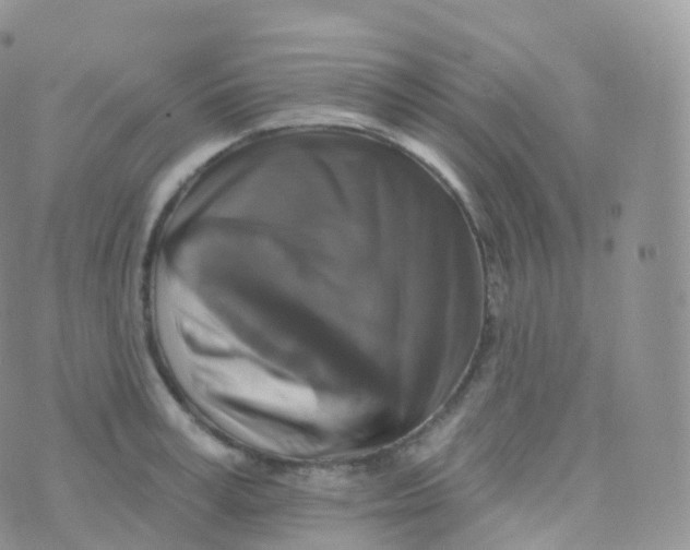 X0000070400995200606302007