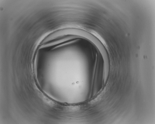 X0000070400996200606302007