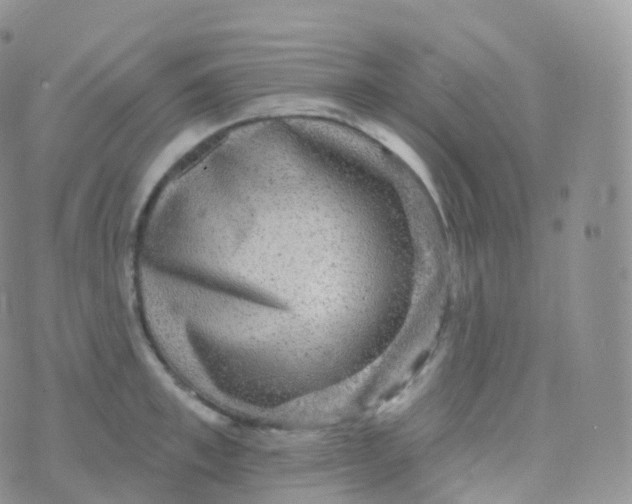 X0000070400997200606302007