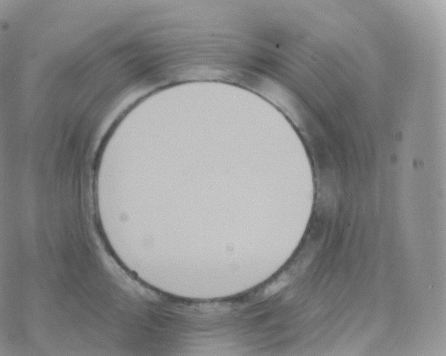 X0000070401000200606302006