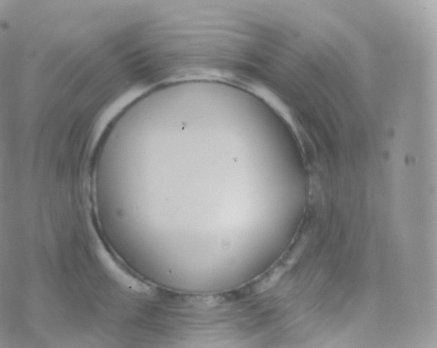 X0000070401003200606302006