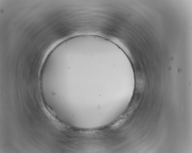 X0000070401004200606302006