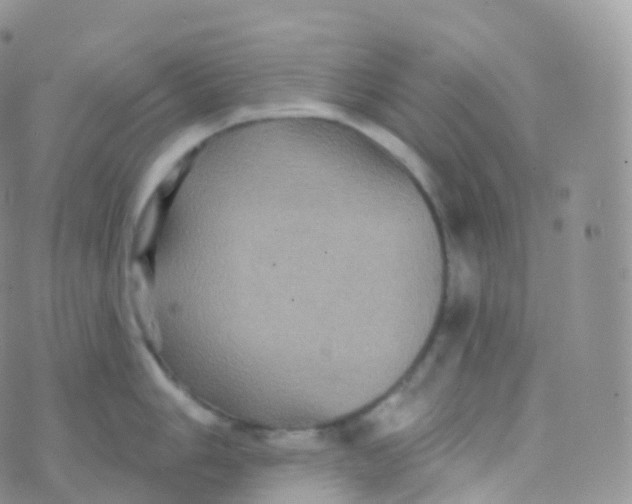 X0000070401006200606302006