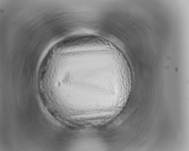 X0000070401008200606302006