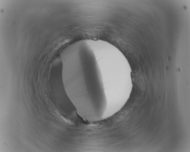 X0000070401009200606302006