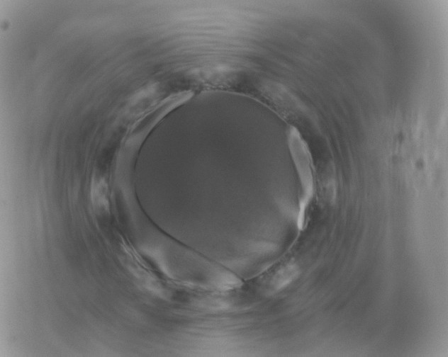 X0000070401010200606302006