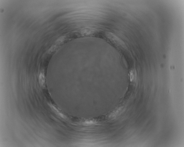 X0000070401011200606302006