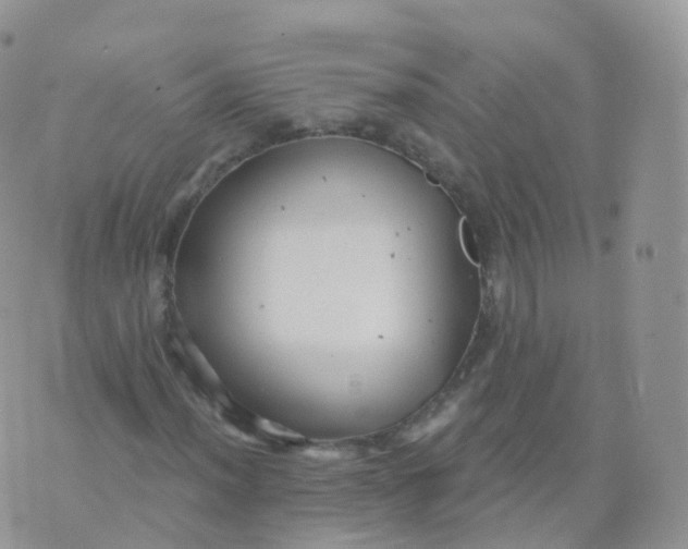 X0000070401012200606302006