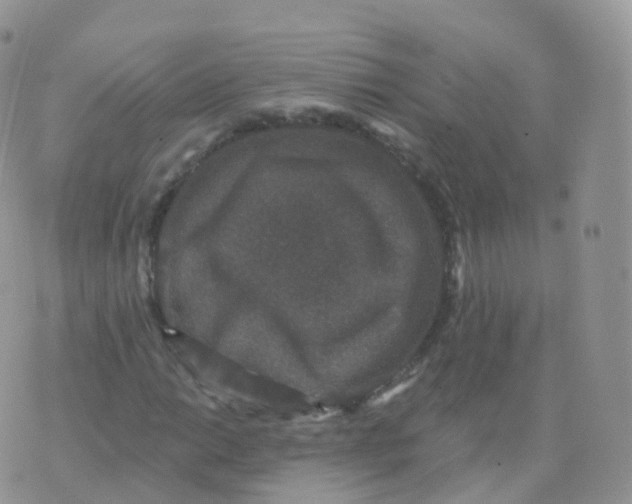 X0000070401014200606302006