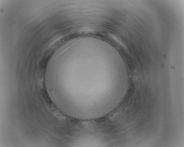 X0000070401015200606302006