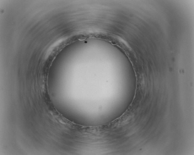 X0000070401016200606302006