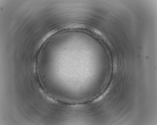 X0000070401017200606302006