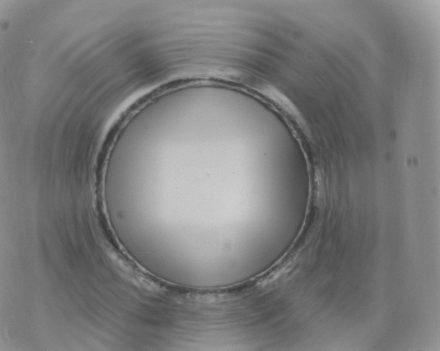 X0000070401020200606302006