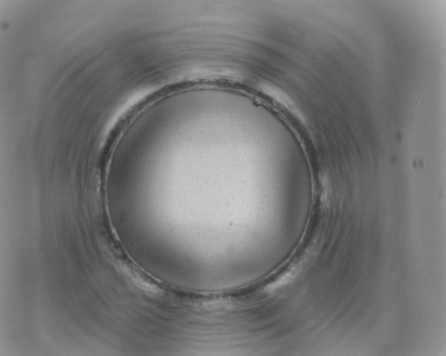 X0000070401021200606302006