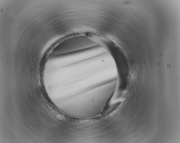 X0000070401022200606302006