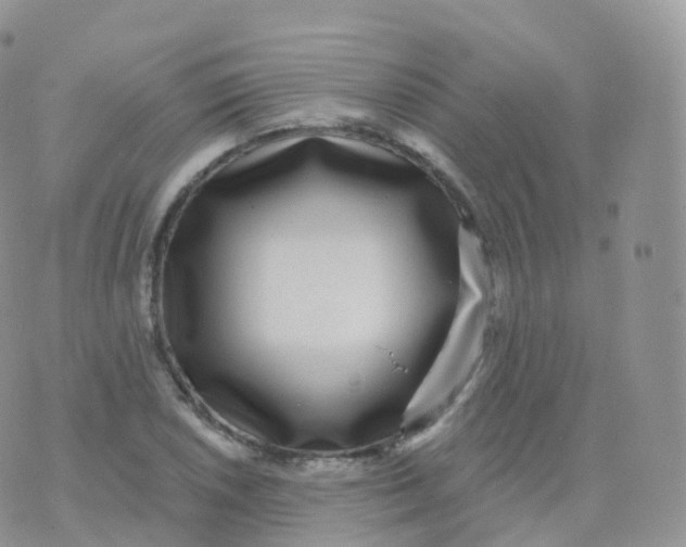 X0000070401026200606302006