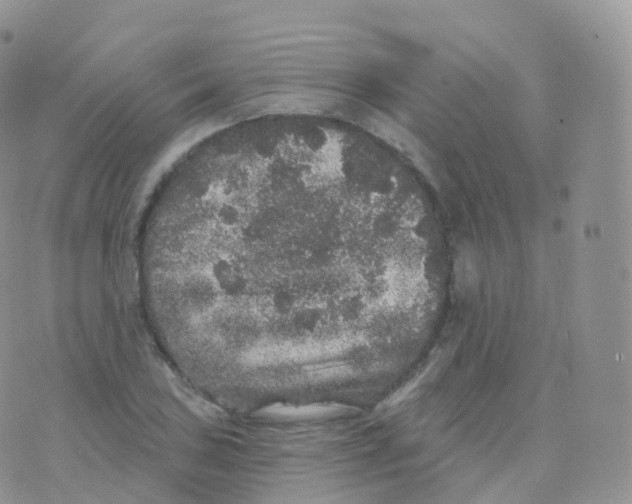 X0000070401027200606302006