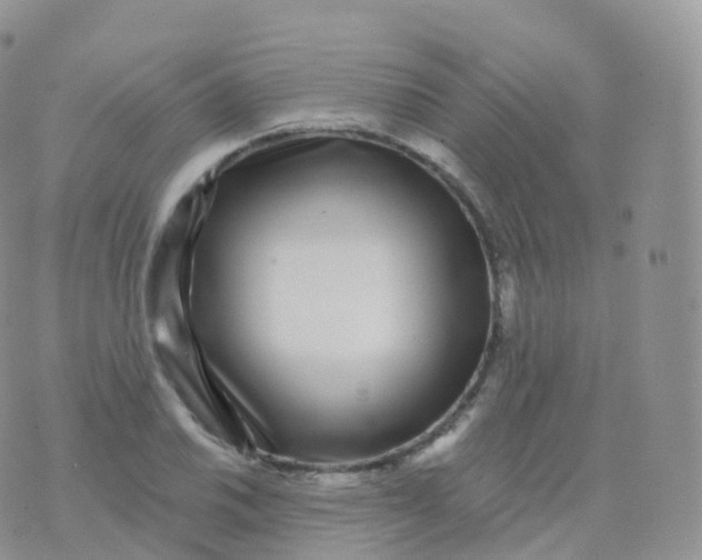 X0000070401030200606302006