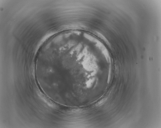 X0000070401035200606302006