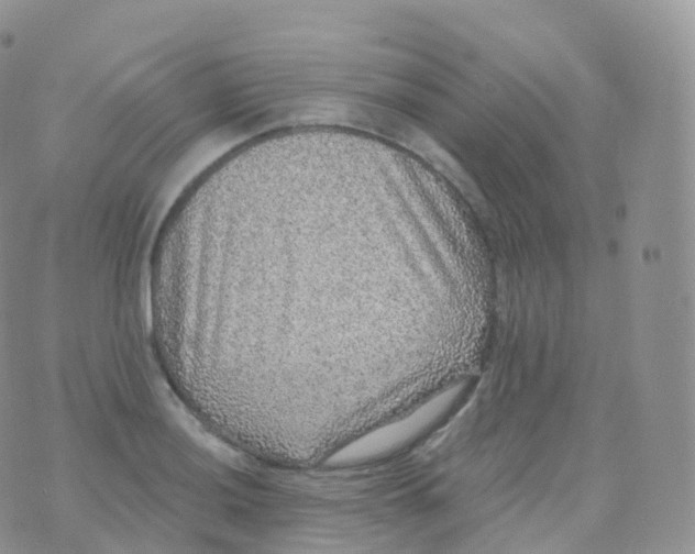 X0000070401036200606302006