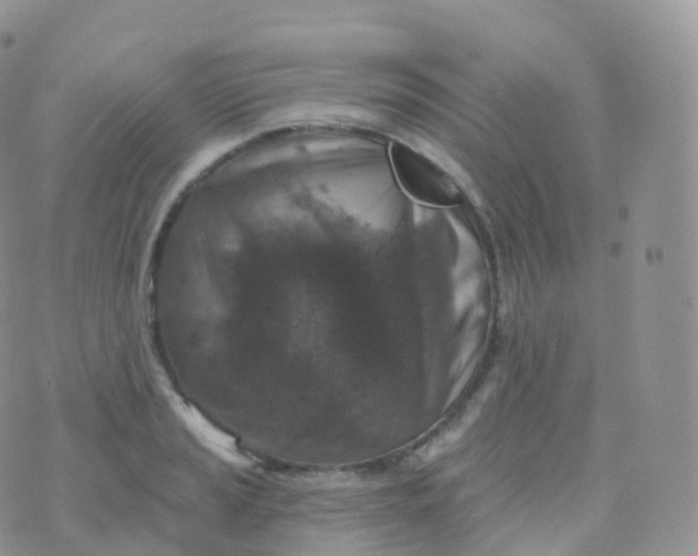 X0000070401037200606302006