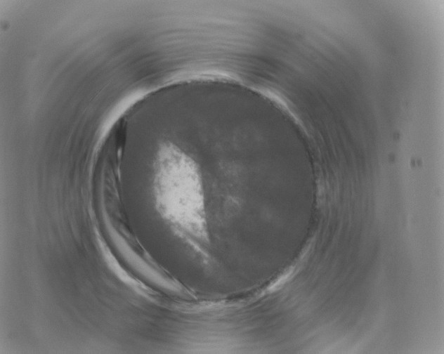 X0000070401038200606302006