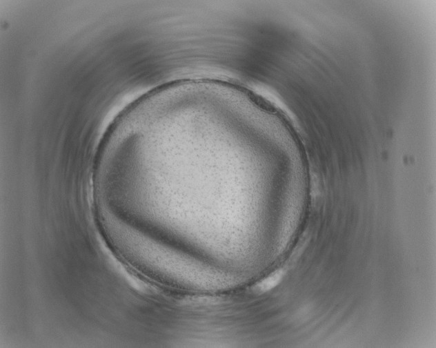 X0000070401040200606302006