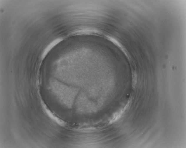 X0000070401042200606302006