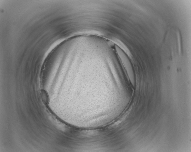 X0000070401044200606302006