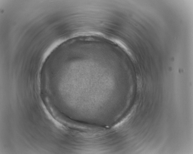 X0000070401046200606302006